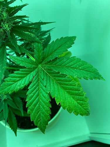 Growreport Bild 10