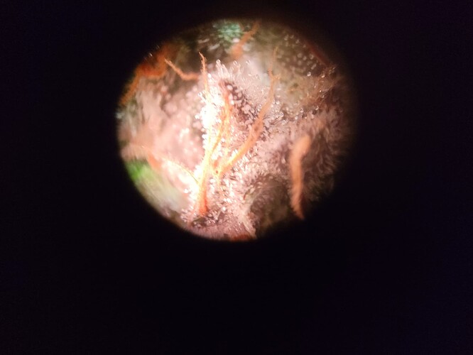 Growreport Bild 14