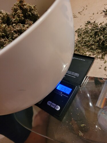 Growreport Bild 13