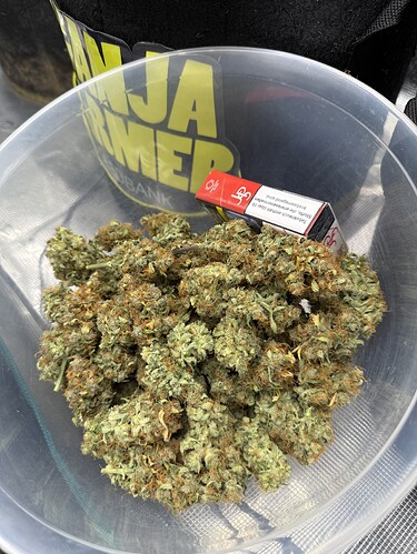 Growreport Bild 21