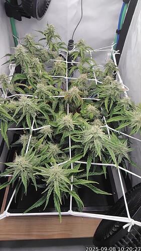 Growreport Bild 1