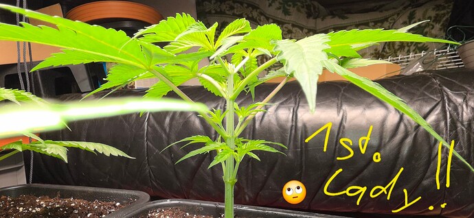 Growreport Bild 5