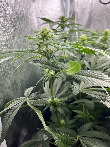 Growreport Bild 14