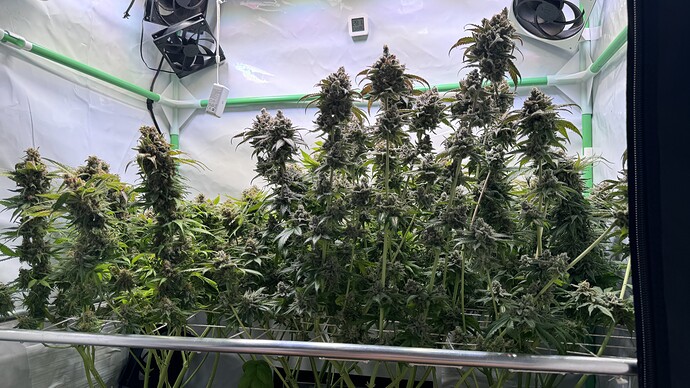 Growreport Bild 15