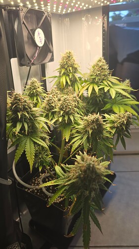 Growreport Bild 2
