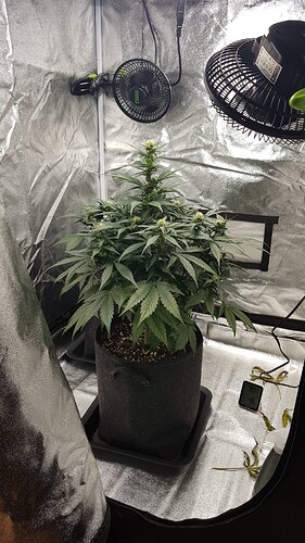 0f61f60f-fd3b-41d5-a8f1-175ab9d2f5de