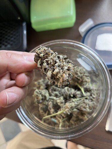 Growreport Bild 1