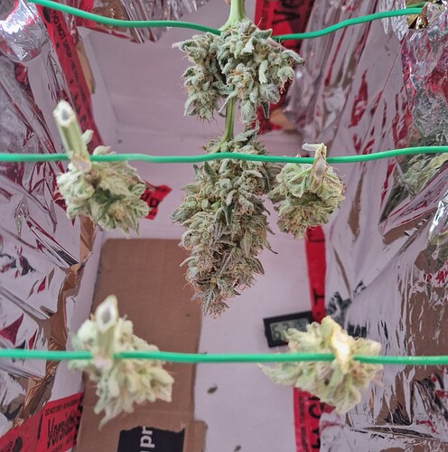 Growreport Bild 12