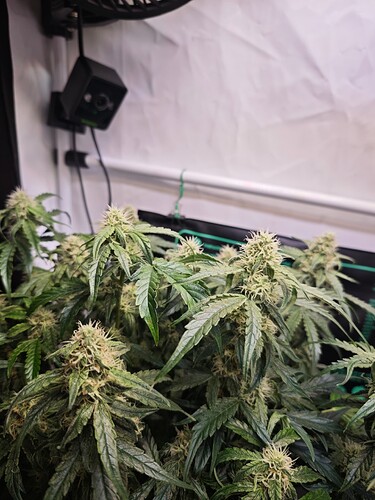 MVIMG_20251109_200646