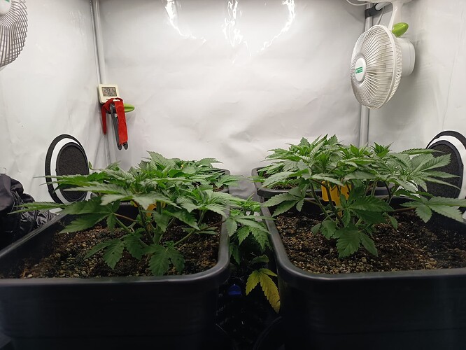 Growreport Bild 14