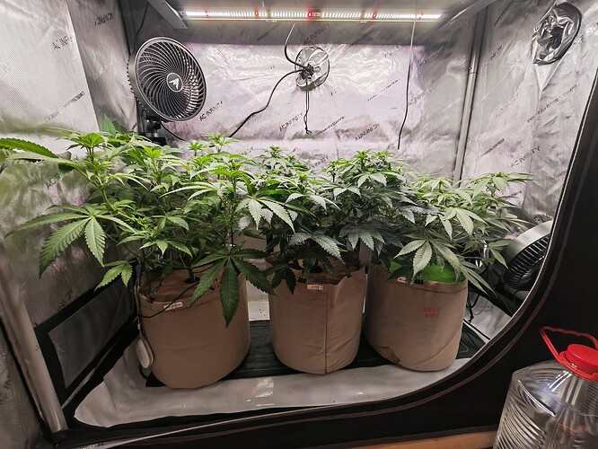 Growreport Bild 2