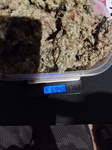 Ein digitales Gramm-Messgerät zeigt 69,48 g an, auf dem sich getrocknete Cannabis-Buds befinden.