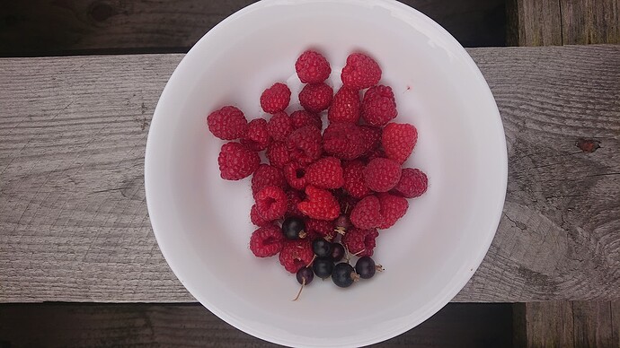 Growreport Bild 23