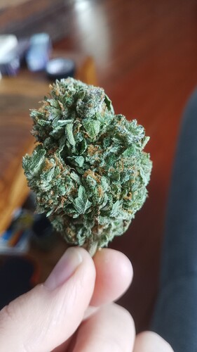 Growreport Bild 19
