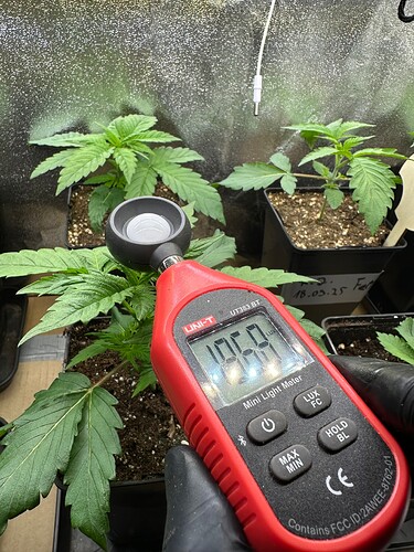 Growreport Bild 46