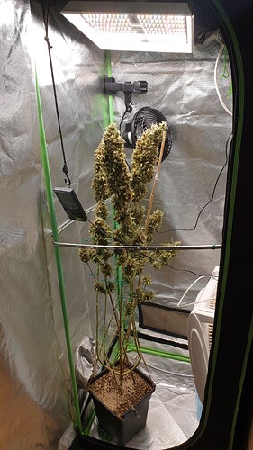 Growreport Bild 1