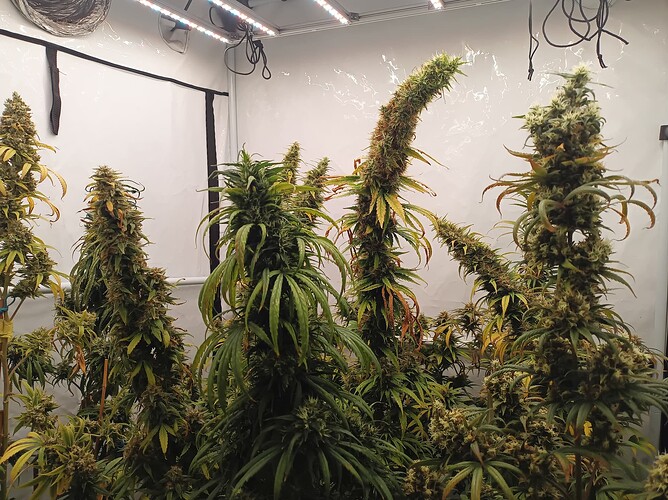 Growreport Bild 10