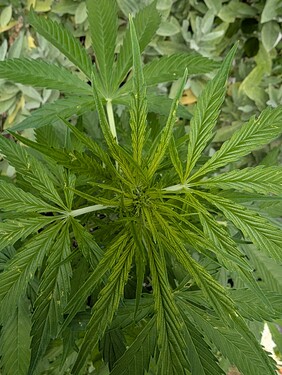 Growreport Bild 13