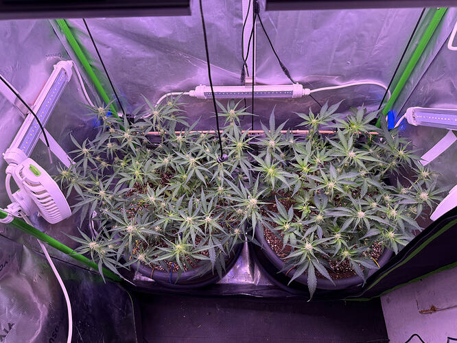 Growreport Bild 14
