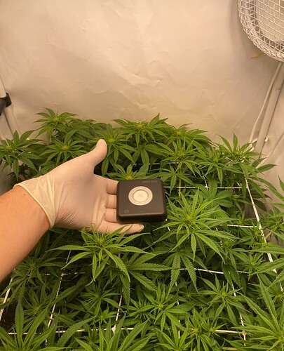 Growreport Bild 10