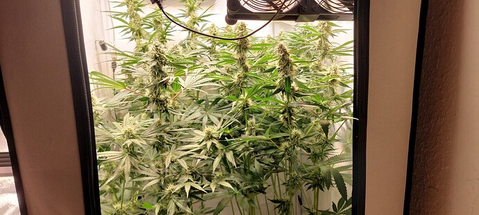 Growreport Bild 11