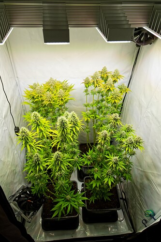Growreport Bild 21