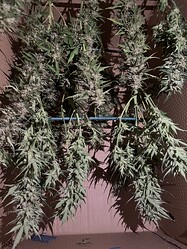 Growreport Bild 15