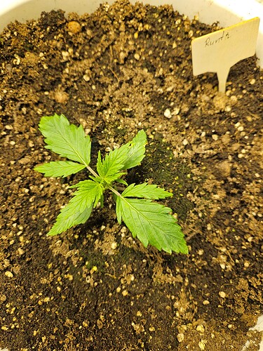 Growreport Bild 19