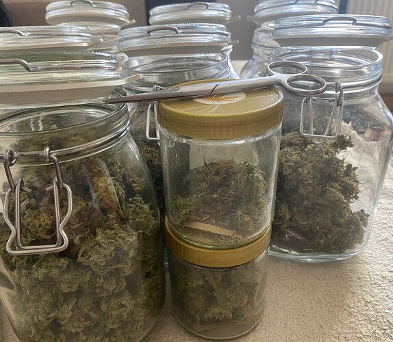 Growreport Bild 1