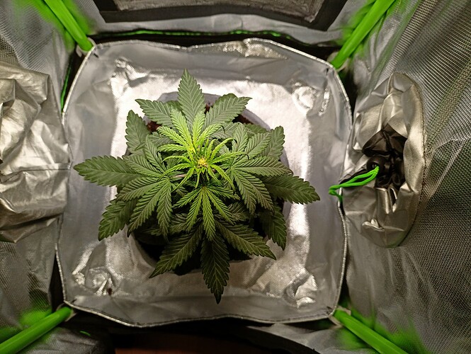 Growreport Bild 7