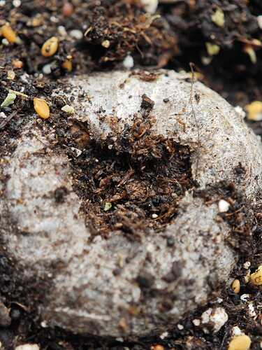 Growreport Bild 18