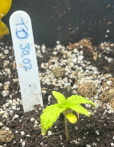 Growreport Bild 13