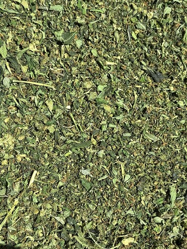 Growreport Bild 87