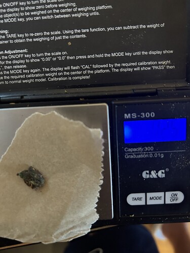 Growreport Bild 9