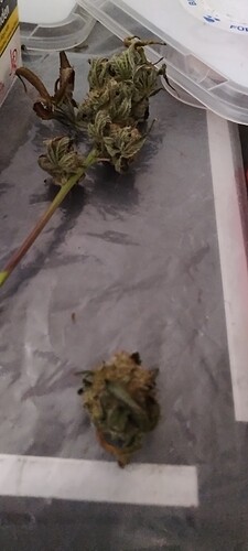 Growreport Bild 11