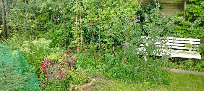 Growreport Bild 17