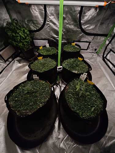 Growreport Bild 15