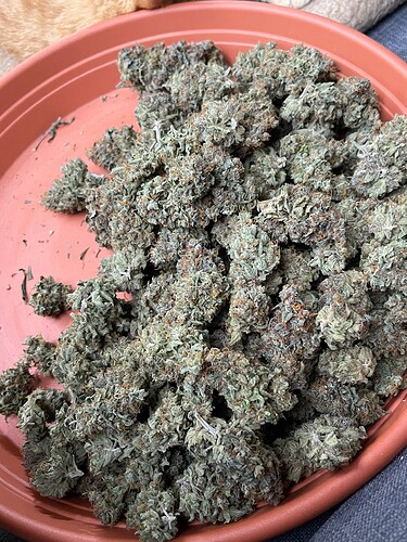 Growreport Bild 6