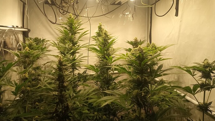 Growreport Bild 8
