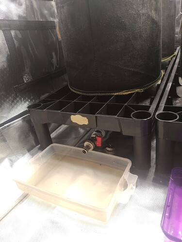 Growreport Bild 14