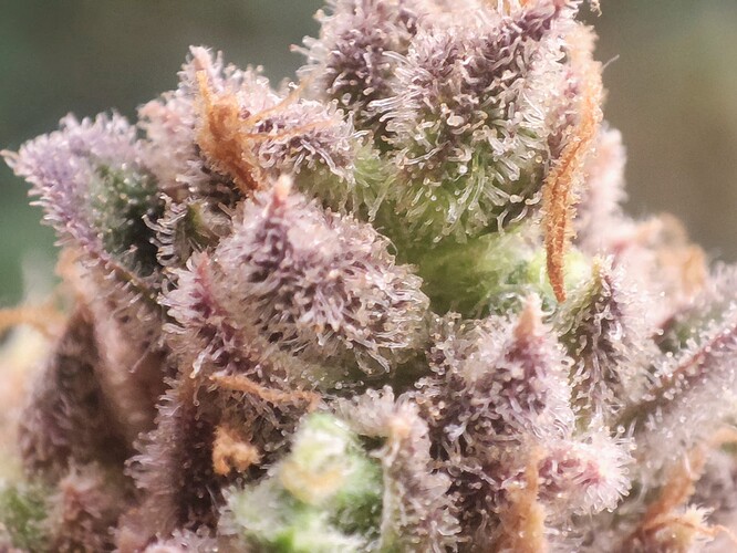 Growreport Bild 11