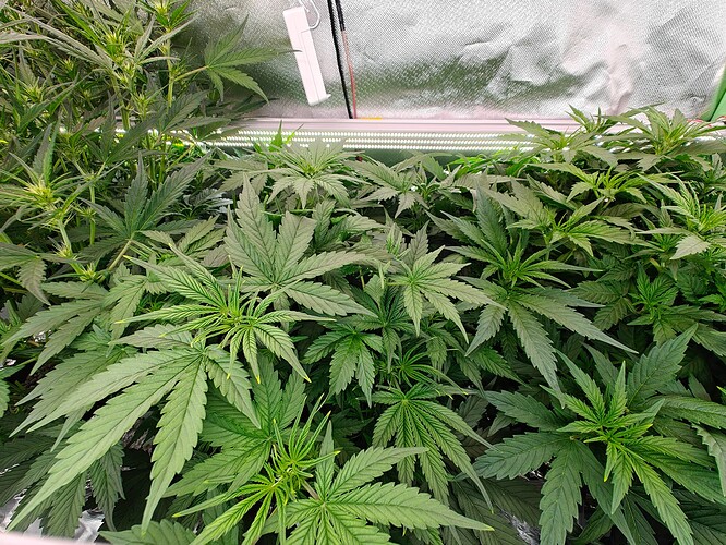Growreport Bild 14