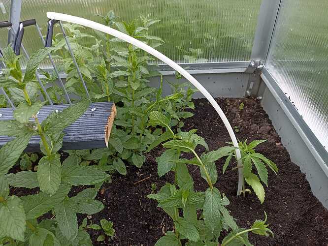 WhatsApp Bild 2025-04-28 um 07.56.56_8d40ecde