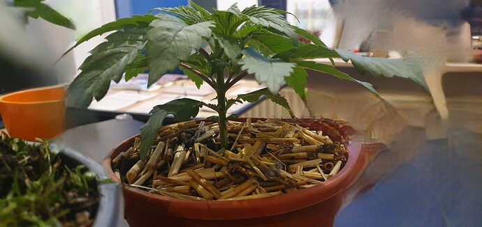 Growreport Bild 10