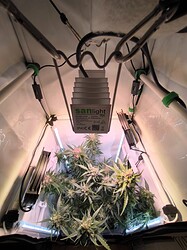 IMG_20240515_233859_1