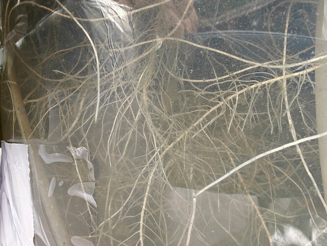 Growreport Bild 22