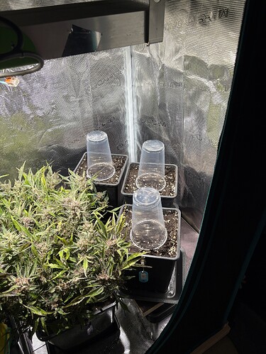 Growreport Bild 11