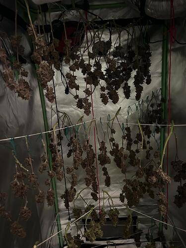 Growreport Bild 9