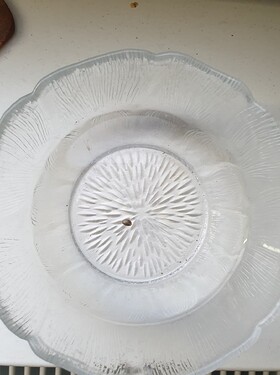 Ayahuasca Purple 03.11.2024