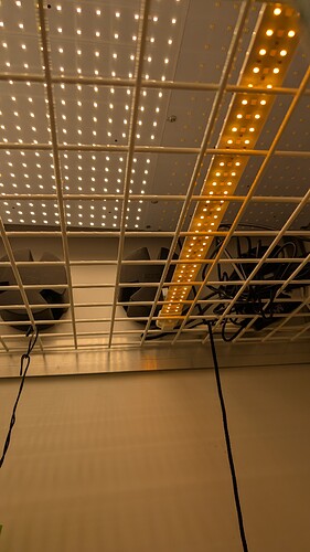 PXL_20250318_181024379.MP